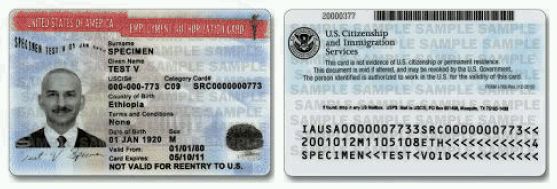 Form I-765 and the Employment Authorization Document