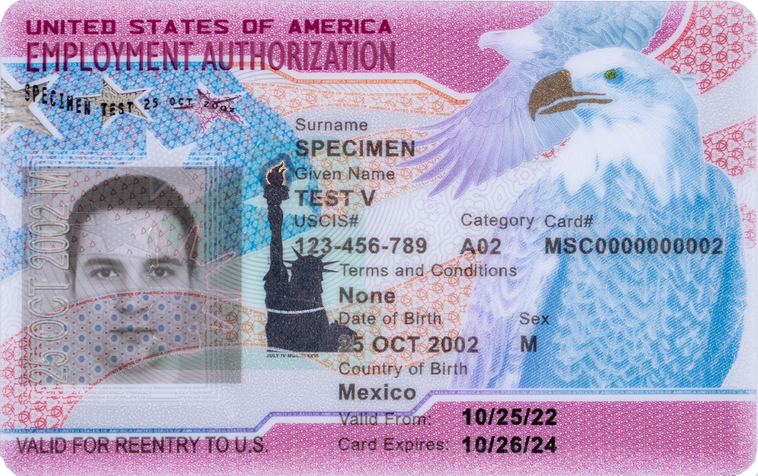 PDF] The US/Mexico border crossing card (BCC): a case study in